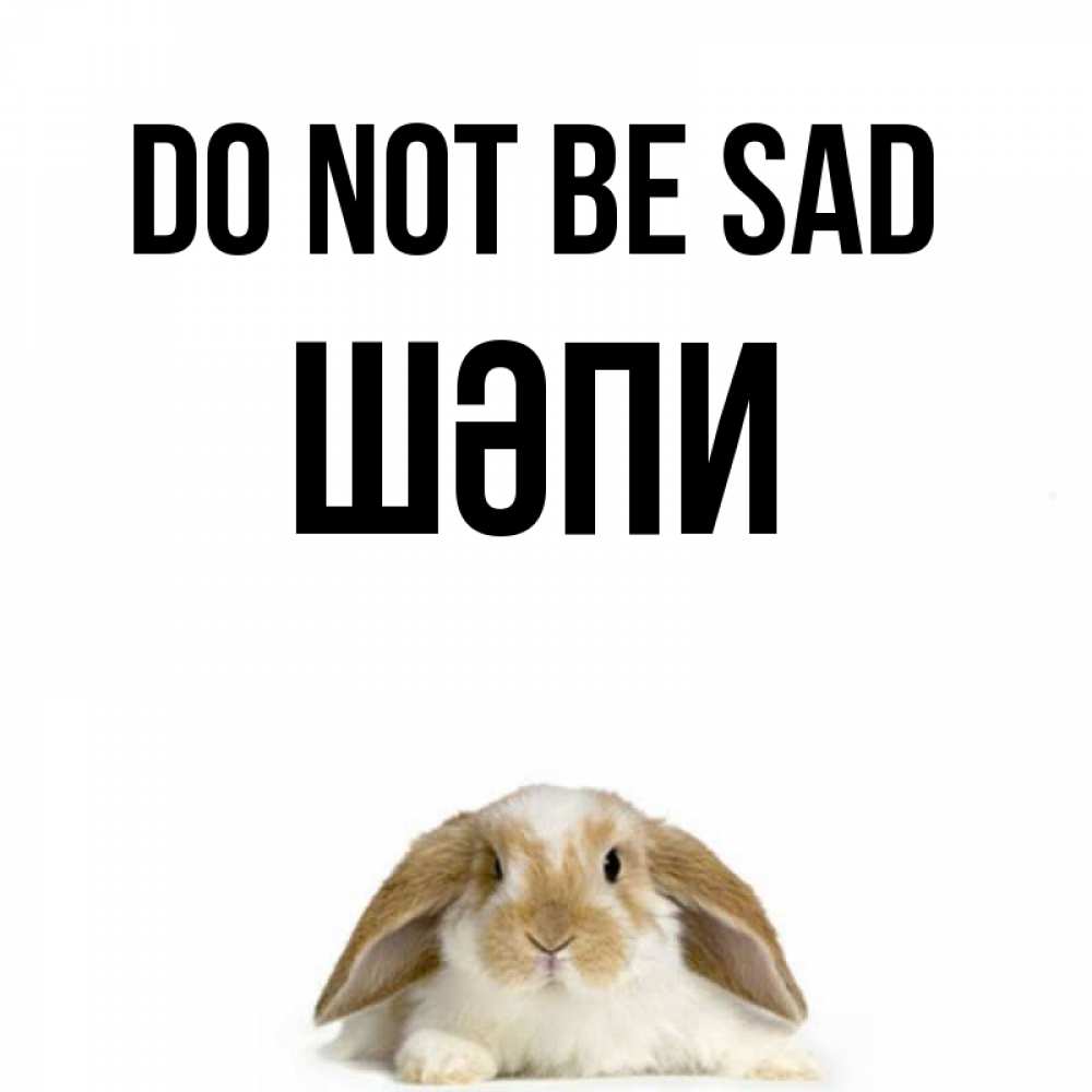Greetings card с именем, ШӘПИ Do not be sad коричнево белый заяц с большими ушками Greetings with text for free download 