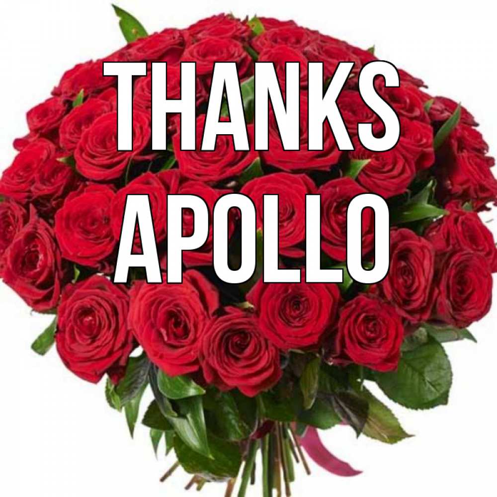 Greetings card с именем, Apollo Thanks букет красных роз Greetings with text for free download 