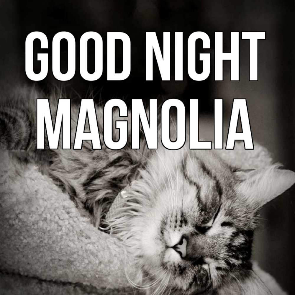 Greetings card с именем, Magnolia Good night котярик пушистый Greetings with text for free download 