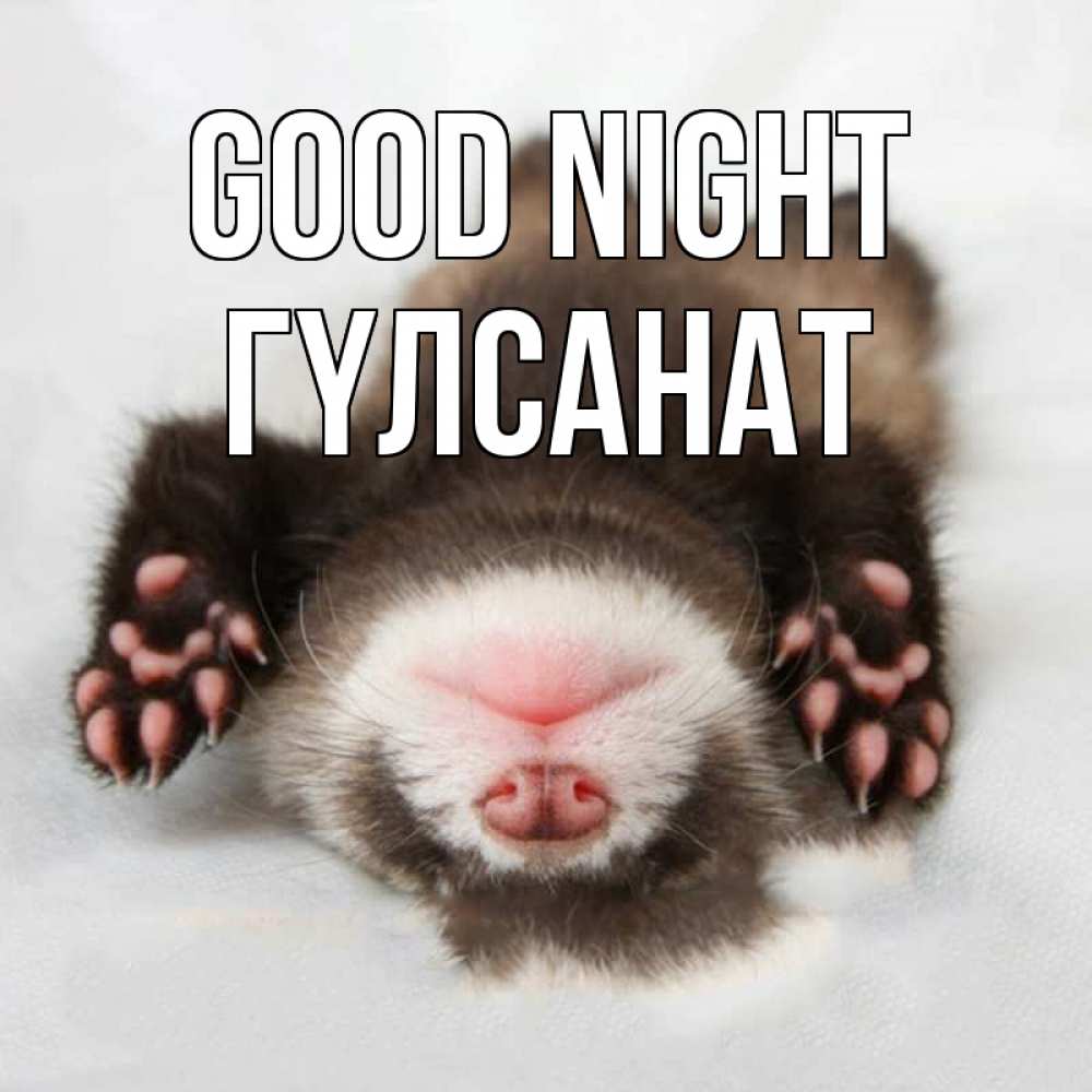 Greetings card с именем, ГҮЛСАНАТ Good night зверек Greetings with text for free download 
