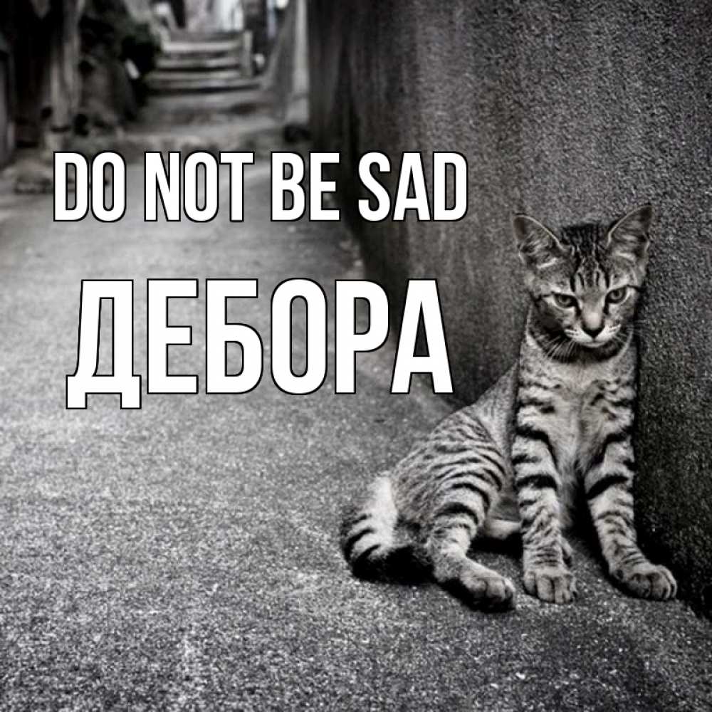 Greetings card с именем, Дебора Do not be sad скучающий котик Greetings with text for free download 