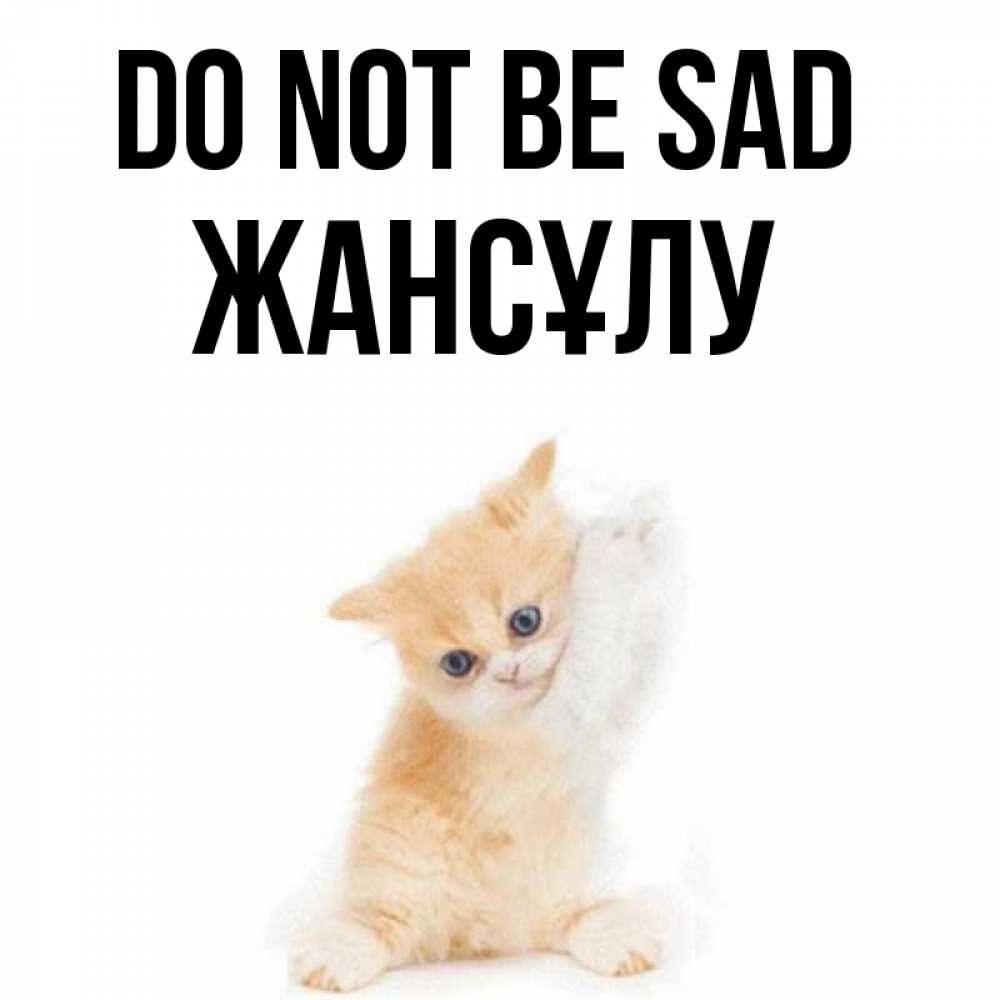 Greetings card с именем, Жансұлу Do not be sad просящий кот Greetings with text for free download 