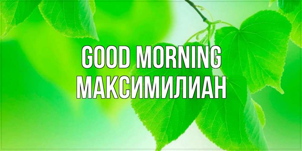 Greetings card с именем, Максимилиан Good morning доброе утро с березовыми листьями Greetings with text for free download 