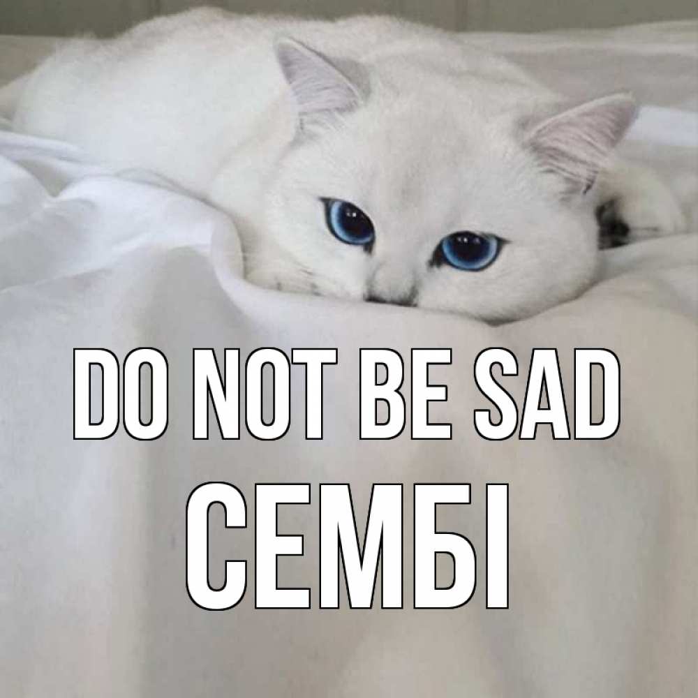 Greetings card с именем, СЕМБІ Do not be sad белый кот с голубыми глазами на белоснежной кровати Greetings with text for free download 