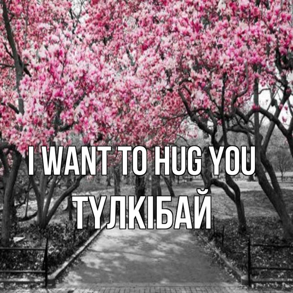 Greetings card с именем, ТҮЛКІБАЙ I want to hug you обработанное фото Greetings with text for free download 