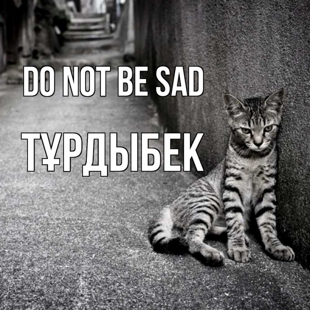 Greetings card с именем, ТҰРДЫБЕК Do not be sad скучающий котик Greetings with text for free download 