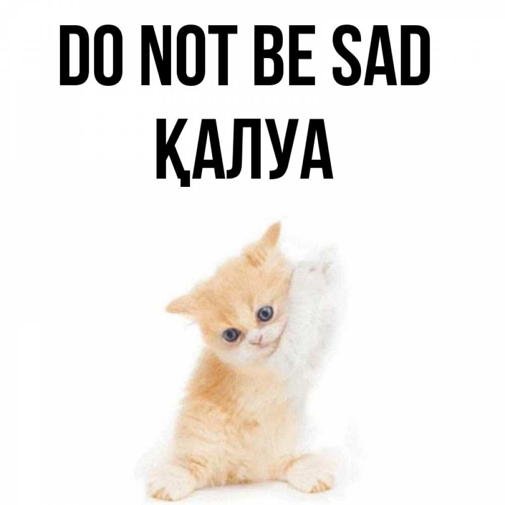 Greetings card с именем, ҚАЛУА Do not be sad просящий кот Greetings with text for free download 