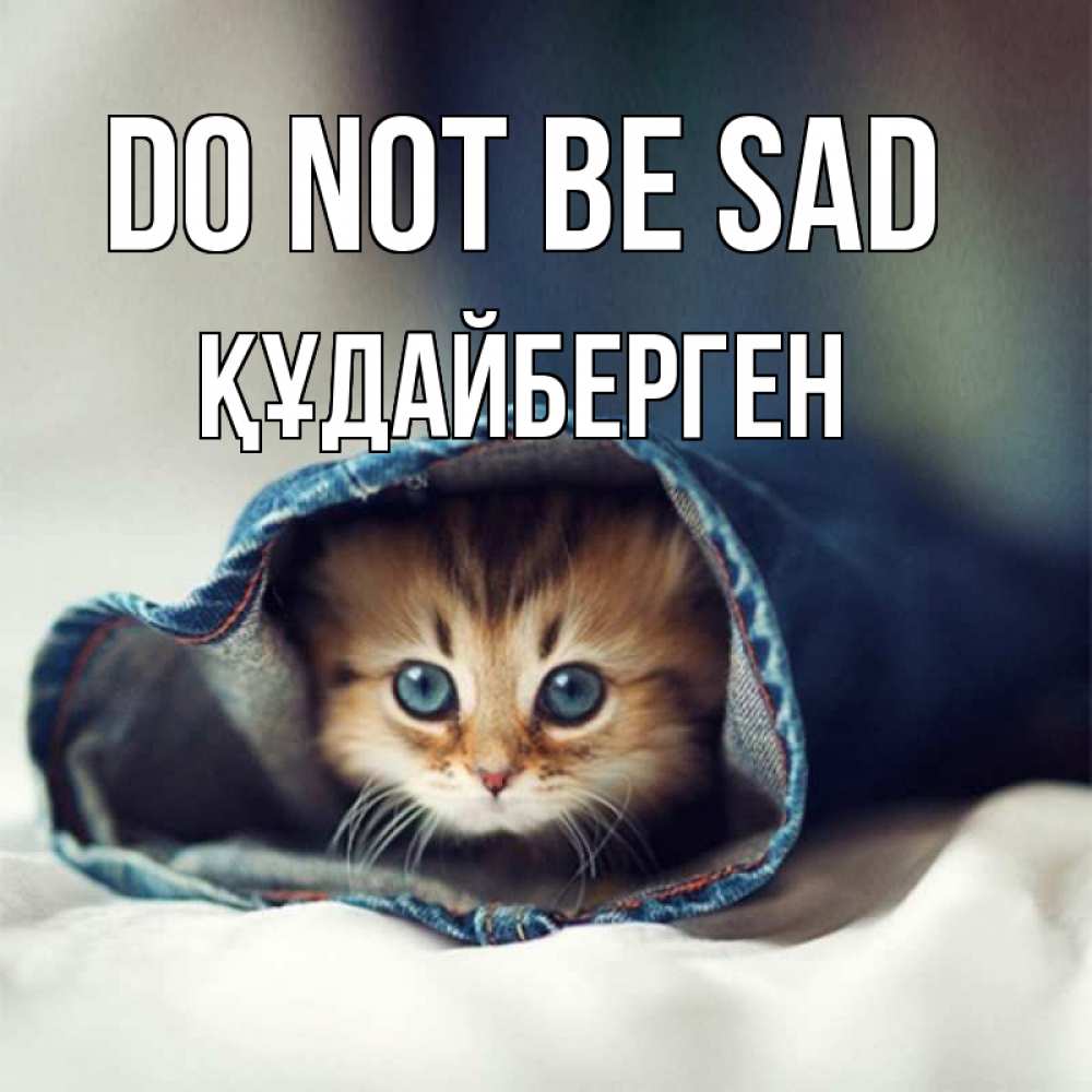 Greetings card с именем, ҚҰДАЙБЕРГЕН Do not be sad рыжик котик Greetings with text for free download 