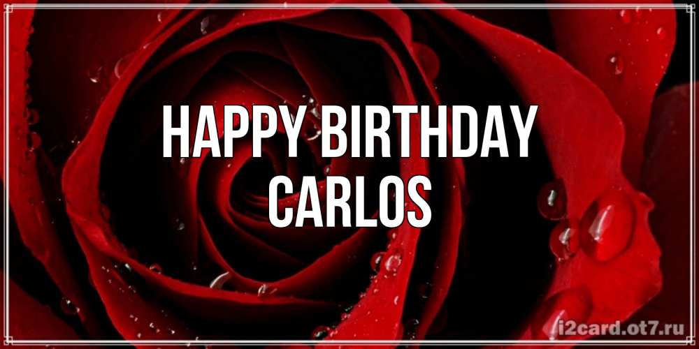 Greetings card с именем, Carlos Happy Birthday крупная бордовая роза Greetings with text for free download 