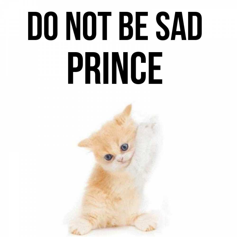 Greetings card с именем, Prince Do not be sad просящий кот Greetings with text for free download 