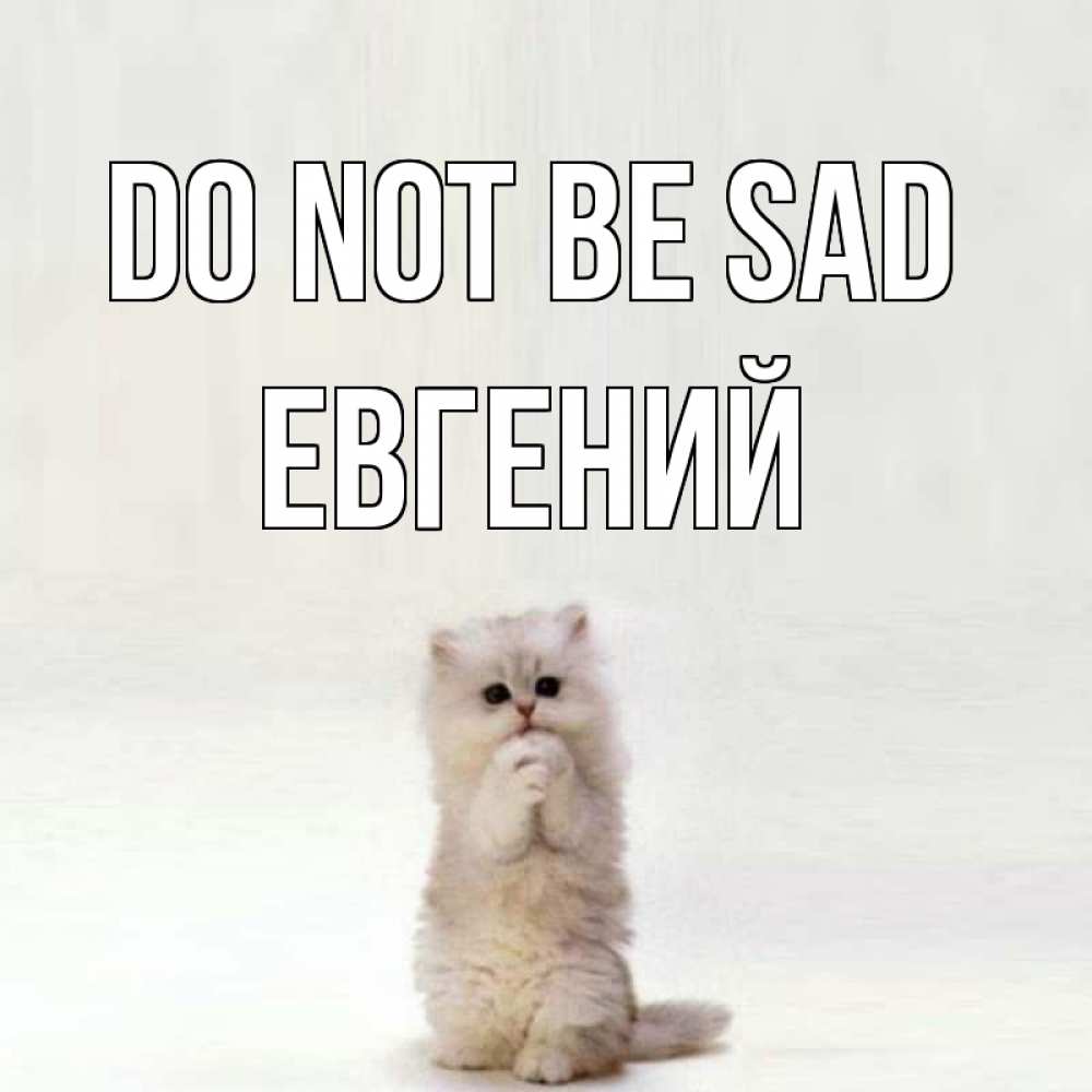 Greetings card с именем, Евгений Do not be sad грустный кот Greetings with text for free download 