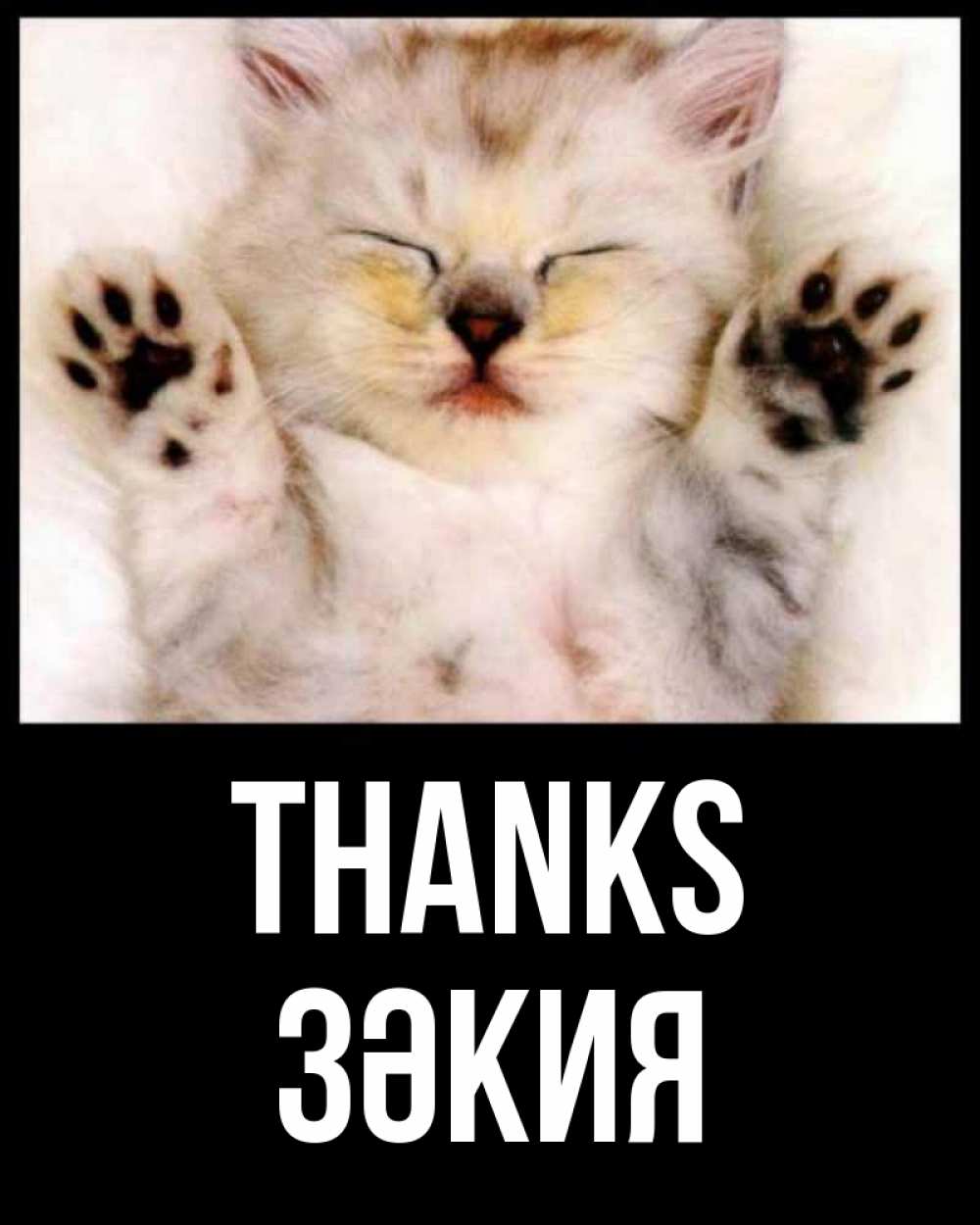 Greetings card с именем, ЗӘКИЯ Thanks маленький котенок Greetings with text for free download 