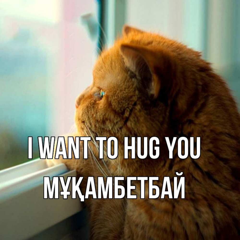 Greetings card с именем, Мұқамбетбай I want to hug you большой огромный рыжий котяра Greetings with text for free download 