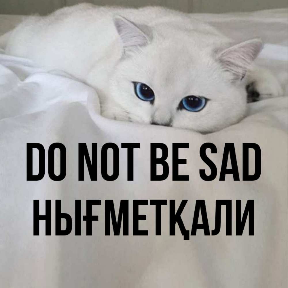 Greetings card с именем, НЫҒМЕТҚАЛИ Do not be sad Голубоглазая кошка Greetings with text for free download 