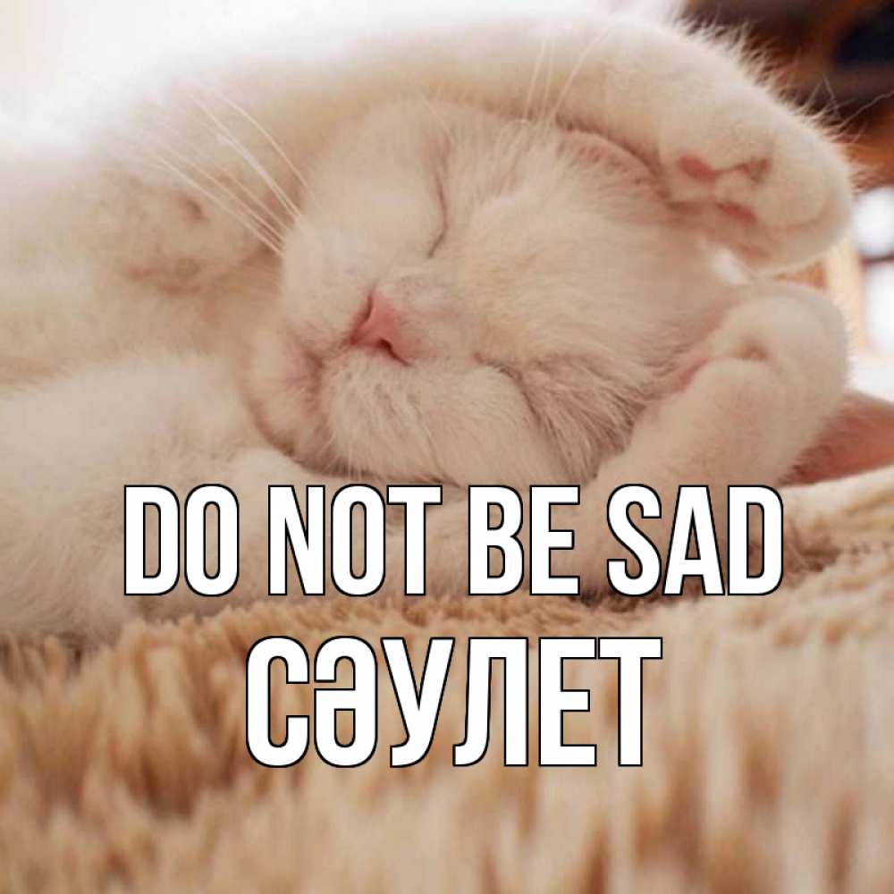 Greetings card с именем, СӘУЛЕТ Do not be sad белый кот Greetings with text for free download 