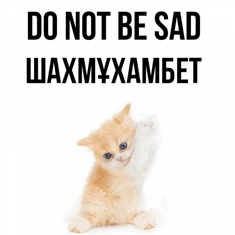 Greetings card с именем, ШАХМҰХАМБЕТ Do not be sad просящий кот Greetings with text for free download 