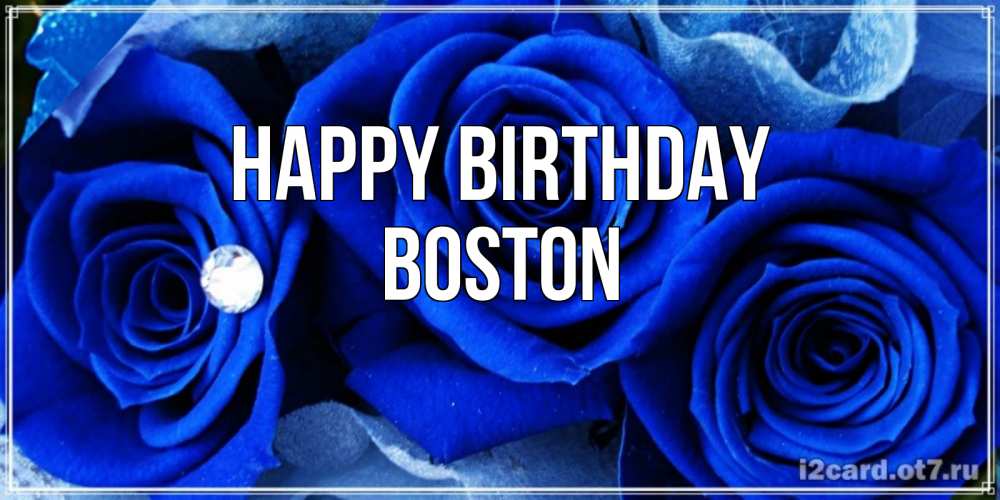 Greetings card с именем, Boston Happy Birthday синие розы в росе Greetings with text for free download 