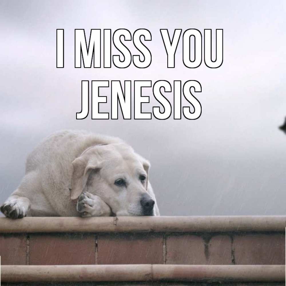 Greetings card с именем, Jenesis I miss you ждет Greetings with text for free download 