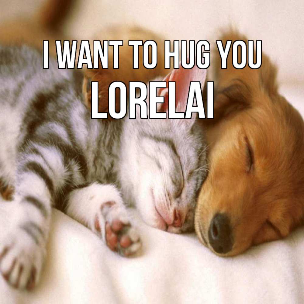 Greetings card с именем, Lorelai I want to hug you пес и котенок Greetings with text for free download 