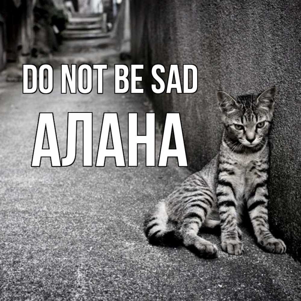 Greetings card с именем, Алана Do not be sad скучающий котик Greetings with text for free download 