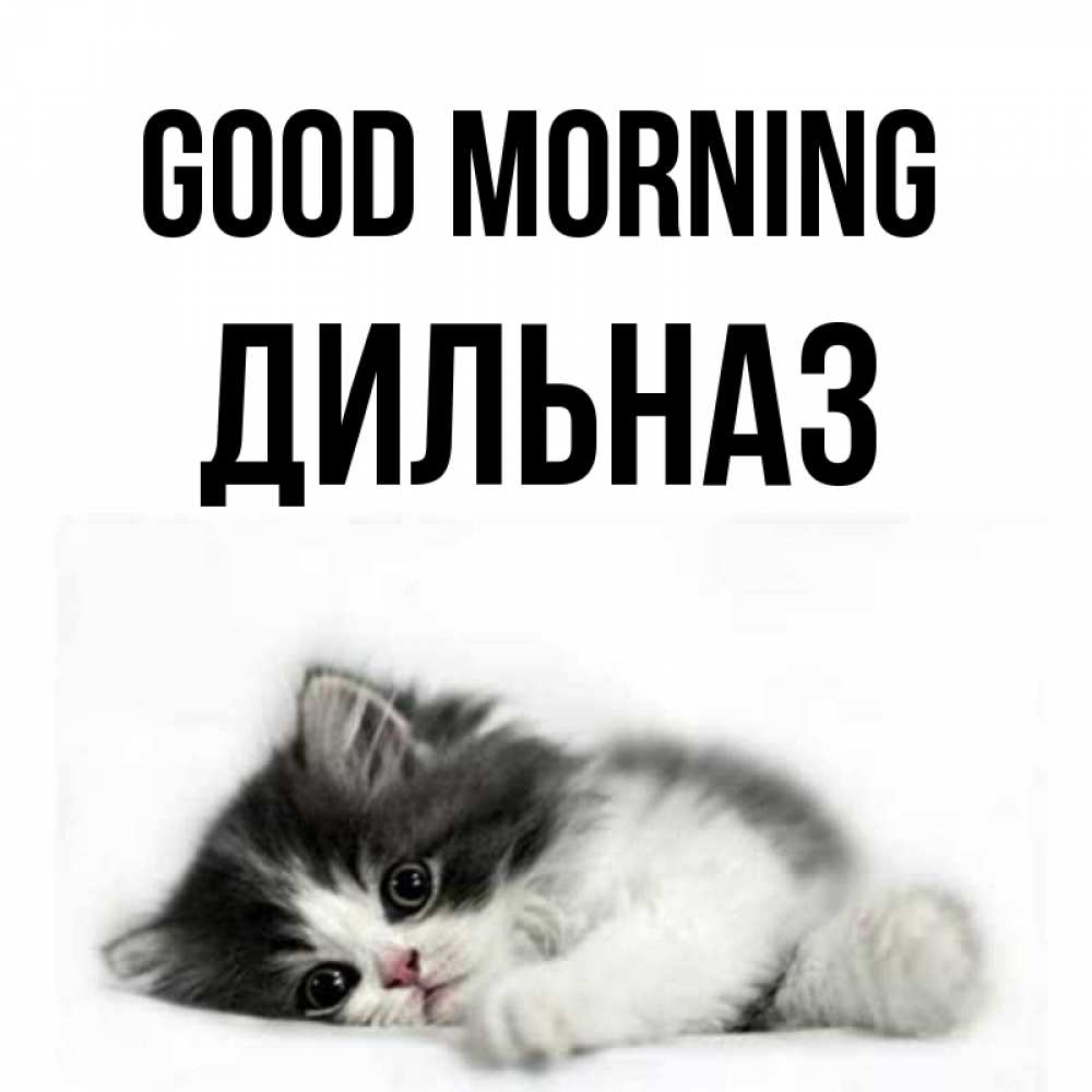 Greetings card с именем, ДИЛЬНАЗ Good morning кот лапки Greetings with text for free download 