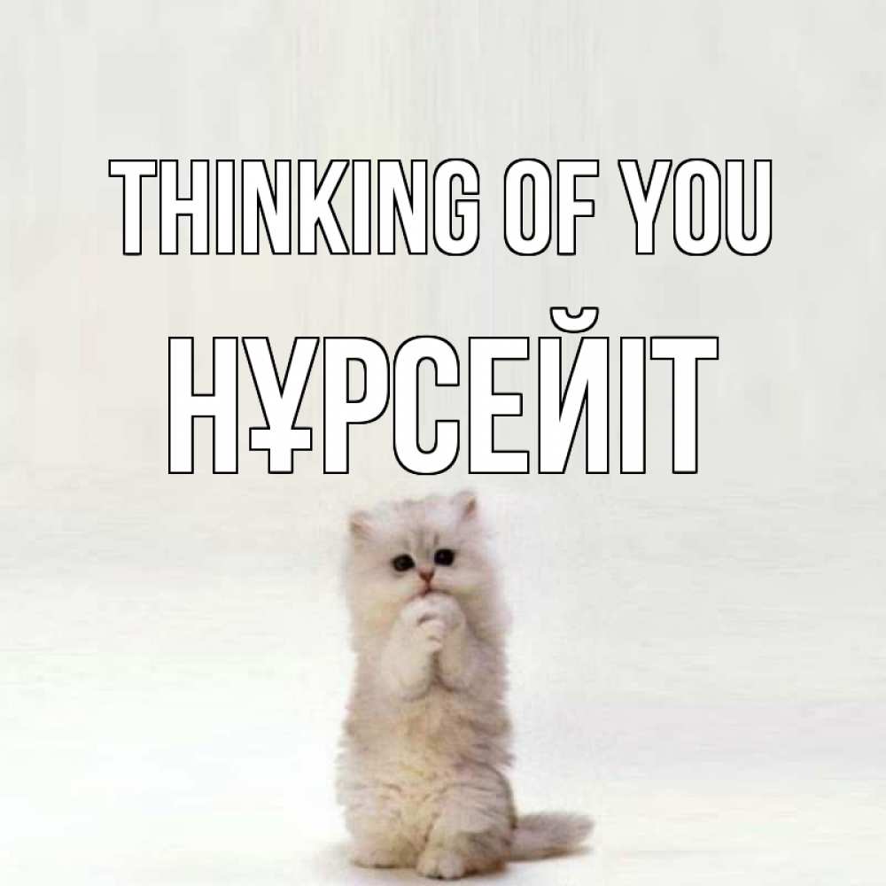 Greetings card с именем, НҰРСЕЙІТ Thinking of you кот стоит на задних лапах Greetings with text for free download 