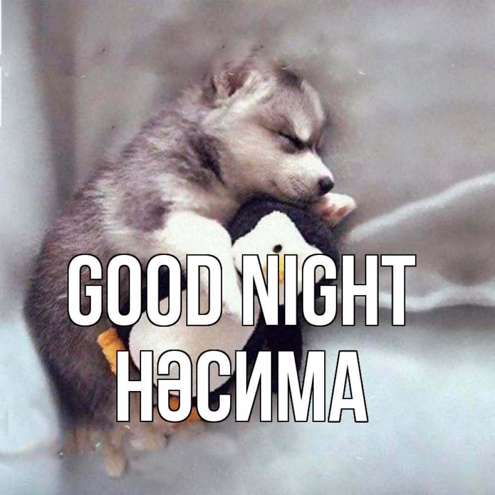 Greetings card с именем, НӘСИМА Good night обнимашки щенка и пингвина Greetings with text for free download 