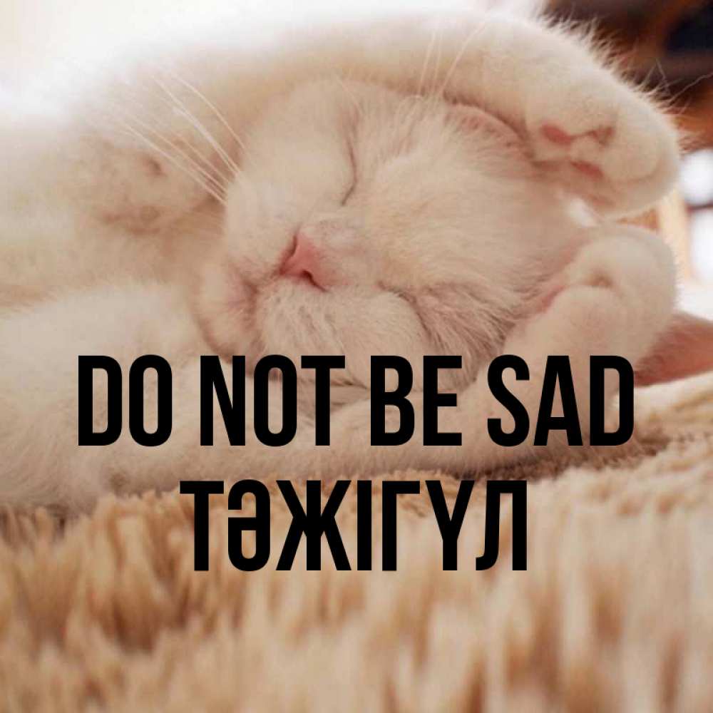 Greetings card с именем, ТӘЖІГҮЛ Do not be sad Котенок спит Greetings with text for free download 