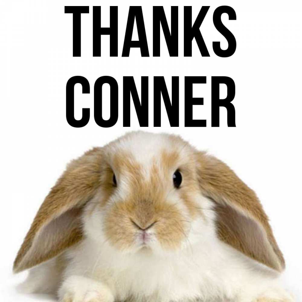 Greetings card с именем, Conner Thanks коричнево белый заяц Greetings with text for free download 