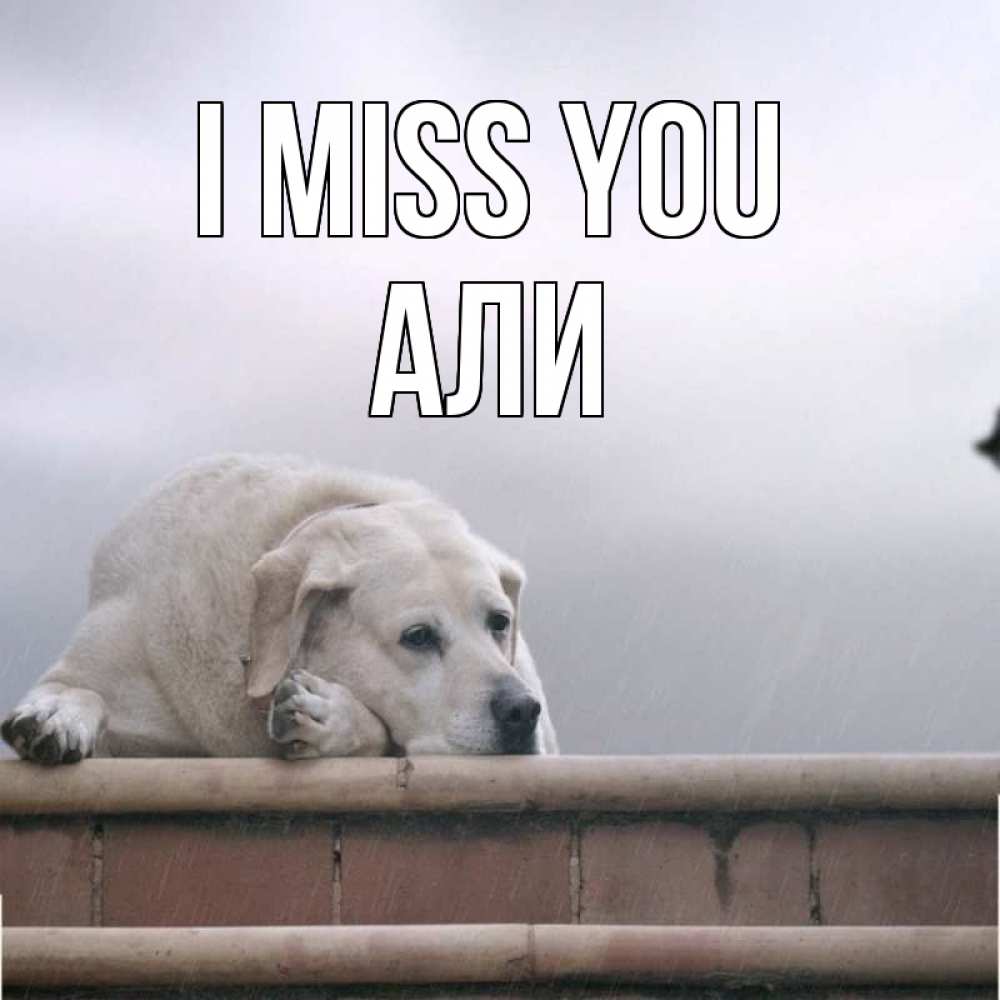 Greetings card с именем, Али I miss you ждет Greetings with text for free download 