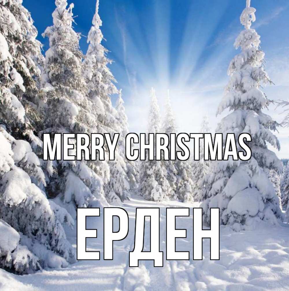Greetings card с именем, Ерден Merry Christmas зима, лес Greetings with text for free download 