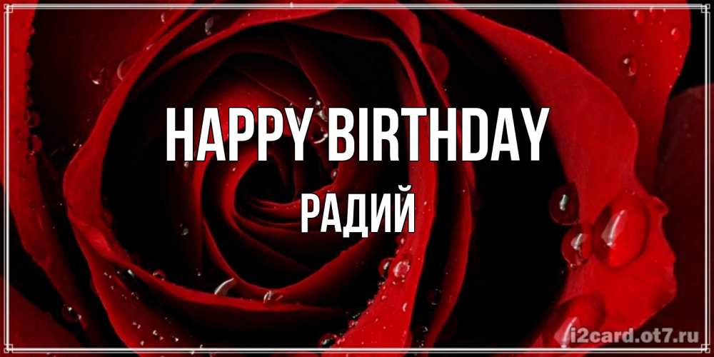 Greetings card с именем, Радий Happy Birthday крупная бордовая роза Greetings with text for free download 