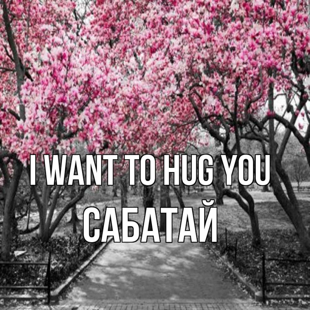 Greetings card с именем, САБАТАЙ I want to hug you обработанное фото Greetings with text for free download 