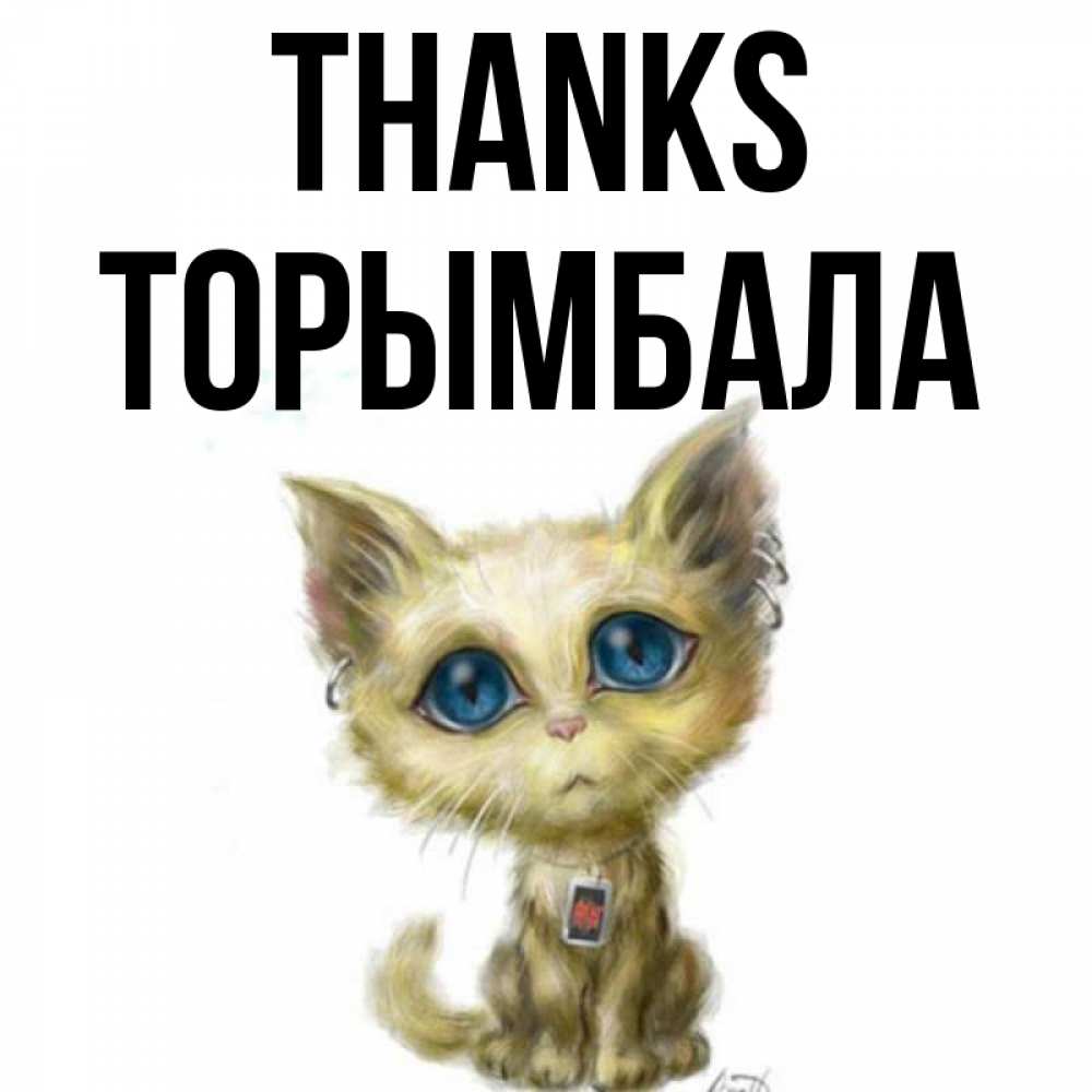 Greetings card с именем, ТОРЫМБАЛА Thanks рисованный кот благодарит вас Greetings with text for free download 