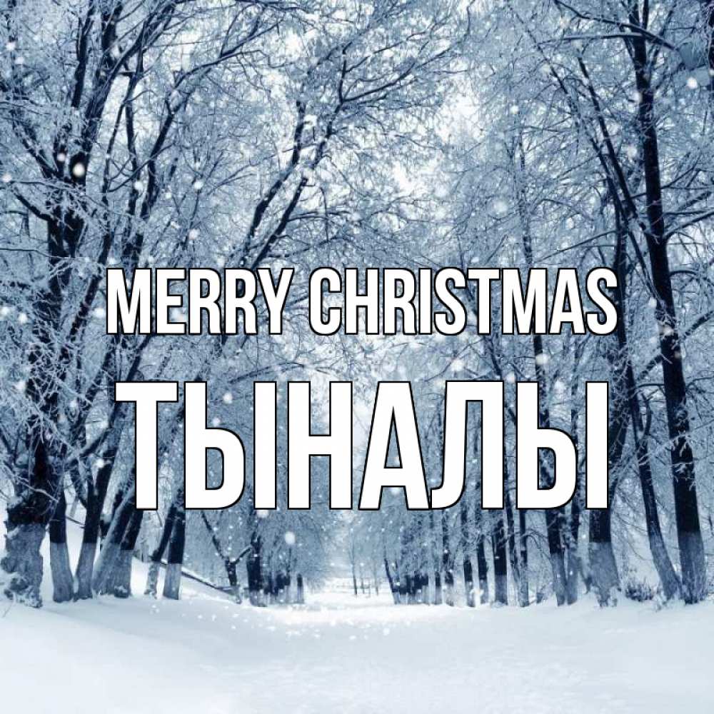 Greetings card с именем, ТЫНАЛЫ Merry Christmas снег, лес, парк Greetings with text for free download 