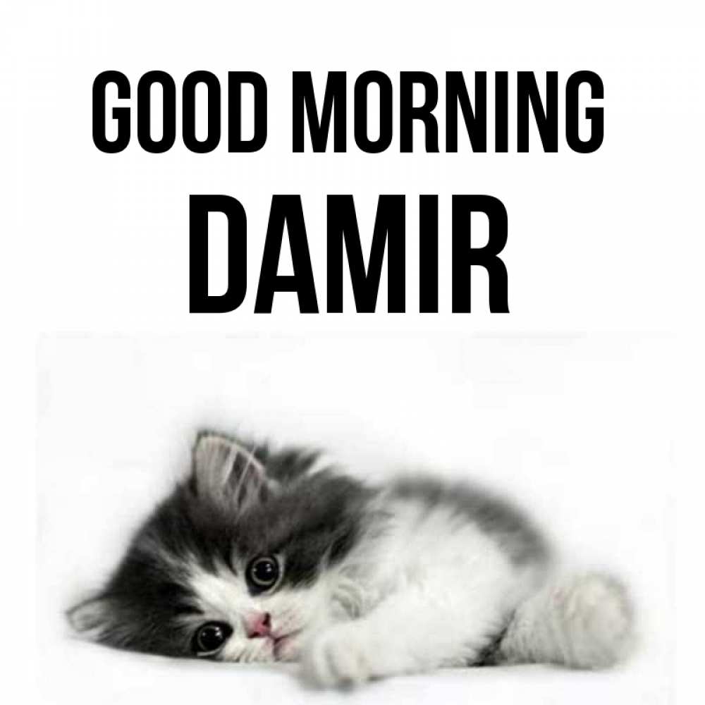 Greetings card с именем, Damir Good morning кот лапки Greetings with text for free download 