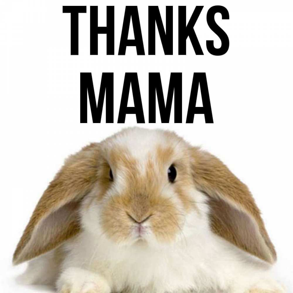 Greetings card с именем, mama Thanks коричнево белый заяц Greetings with text for free download 