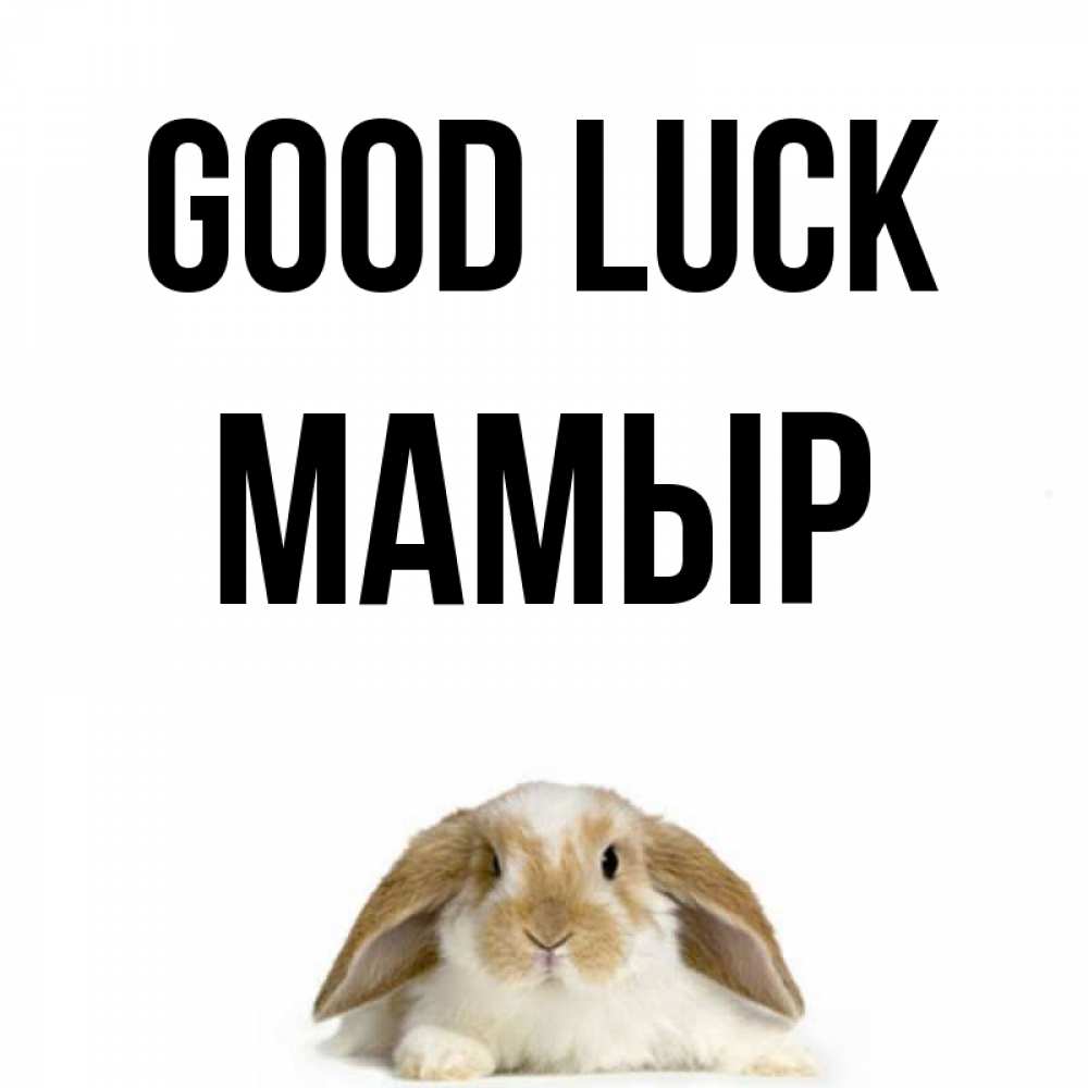Greetings card с именем, МАМЫР Good luck открытки с произвольным текстом который можно вставить в открытку и создать ее самостоятельно бесплатно онлайн Greetings with text for free download 