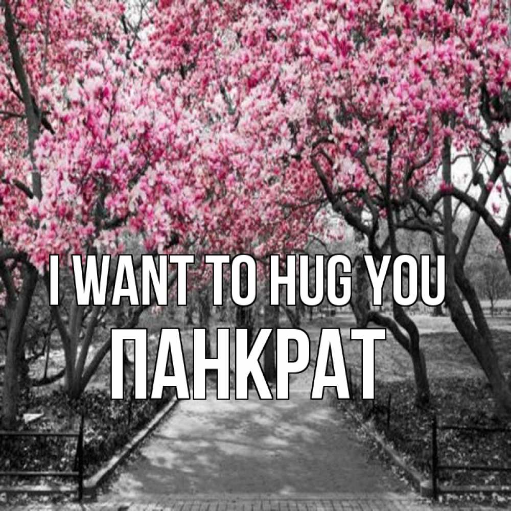 Greetings card с именем, Панкрат I want to hug you обработанное фото Greetings with text for free download 