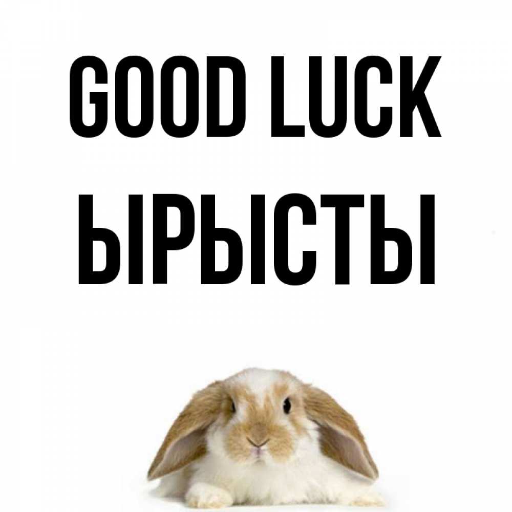Greetings card с именем, ЫРЫСТЫ Good luck открытки с произвольным текстом который можно вставить в открытку и создать ее самостоятельно бесплатно онлайн Greetings with text for free download 