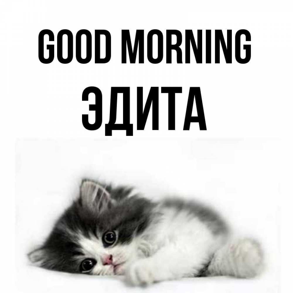 Greetings card с именем, Эдита Good morning кот лапки Greetings with text for free download 