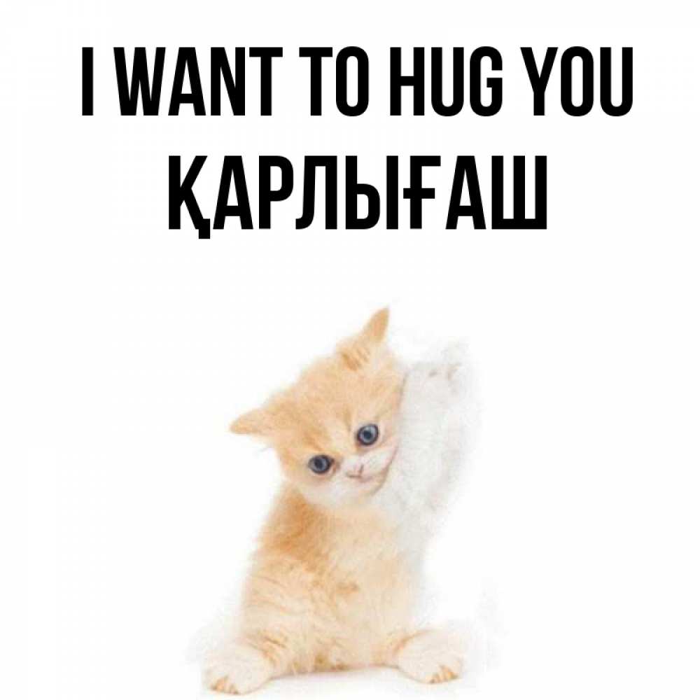 Greetings card с именем, ҚАРЛЫҒАШ I want to hug you я хочу очень скорее обнимаешек Greetings with text for free download 