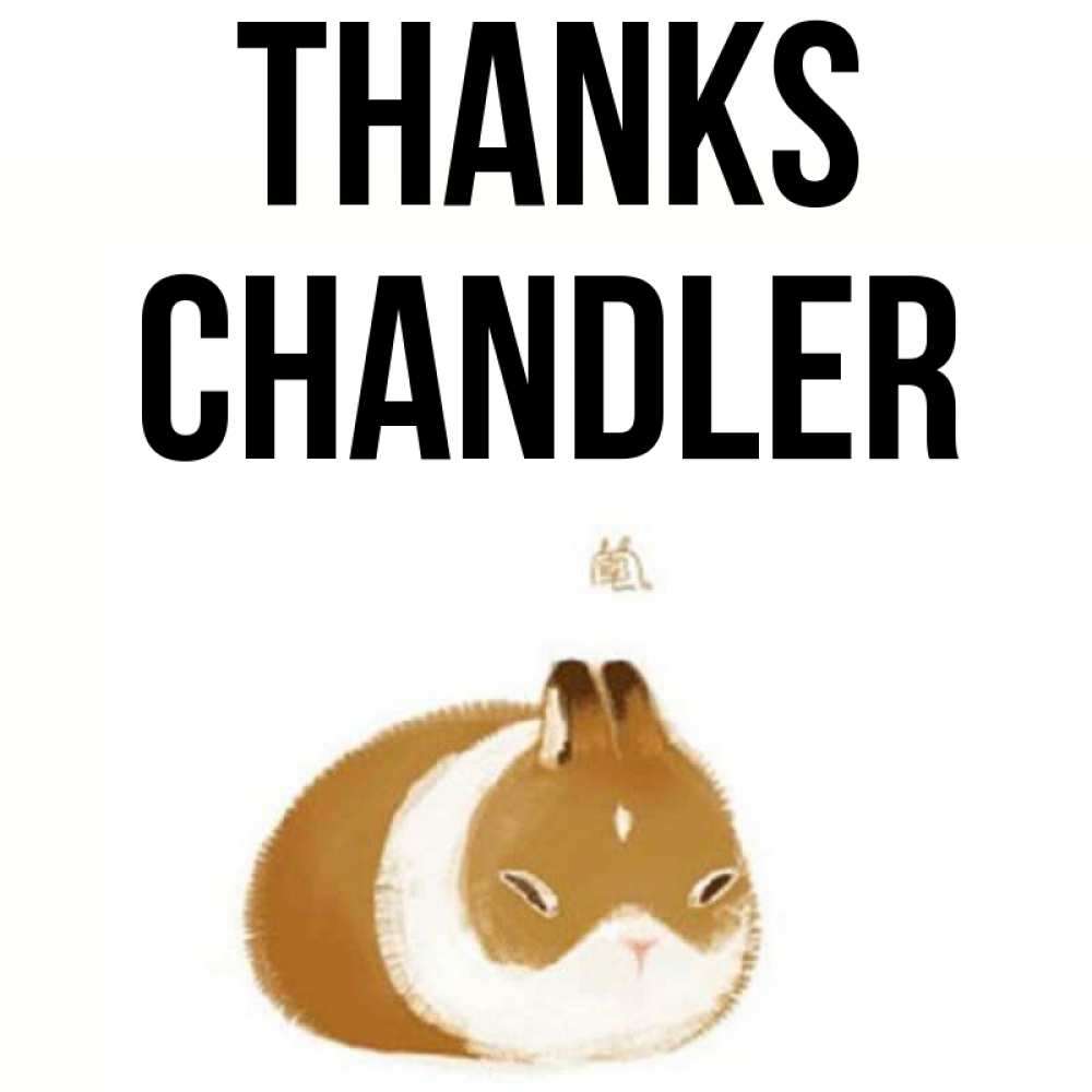 Greetings card с именем, Chandler Thanks коричнево белый домашний питомец Greetings with text for free download 