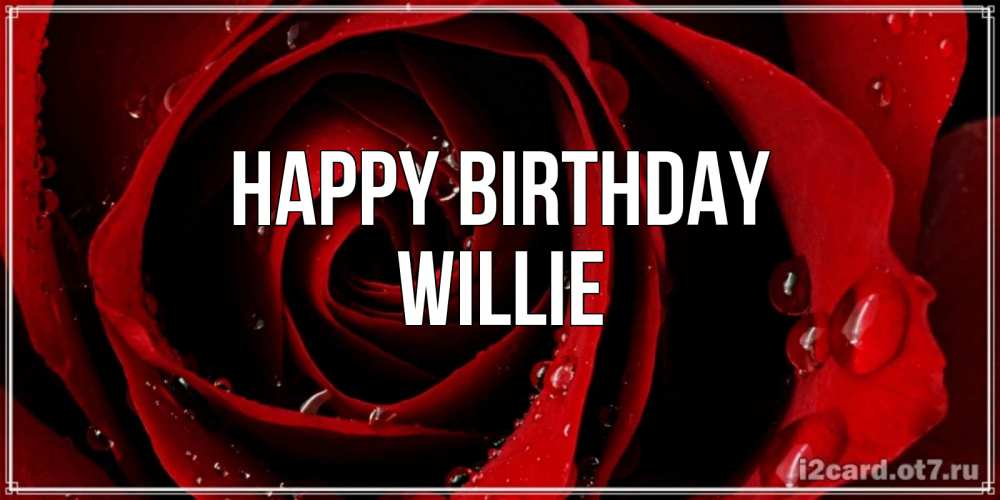 Greetings card с именем, Willie Happy Birthday крупная бордовая роза Greetings with text for free download 