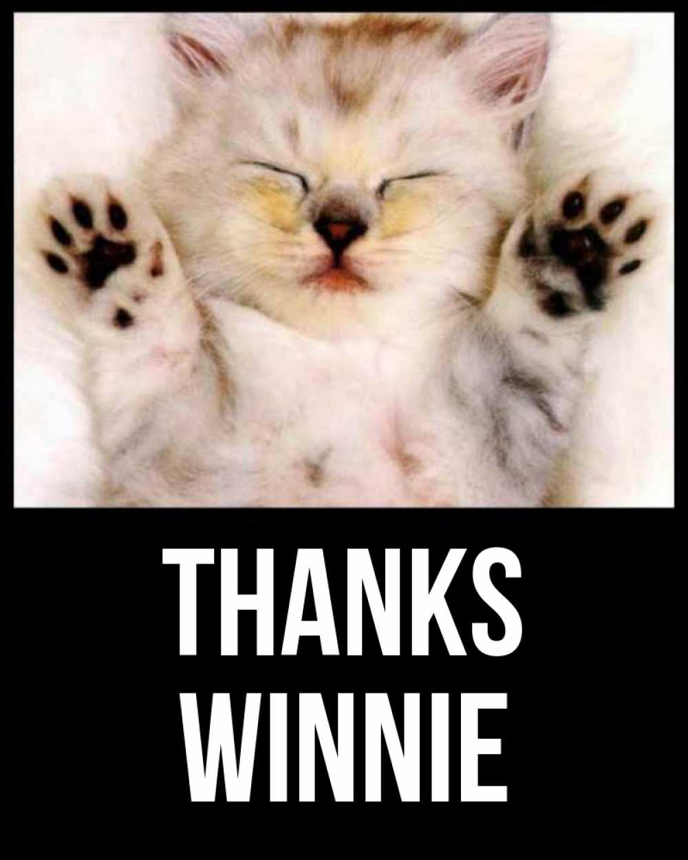 Greetings card с именем, Winnie Thanks маленький котенок Greetings with text for free download 