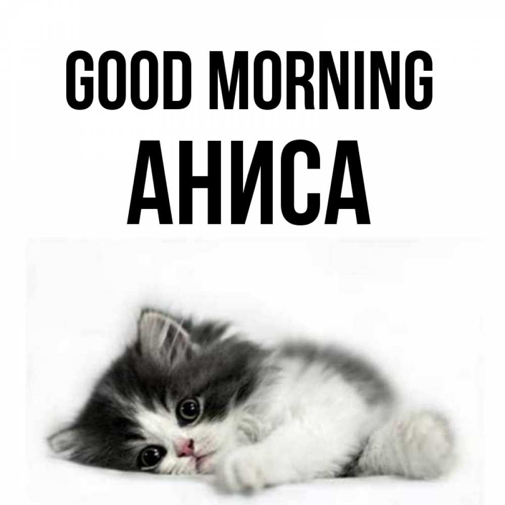 Greetings card с именем, АНИСА Good morning кот лапки Greetings with text for free download 