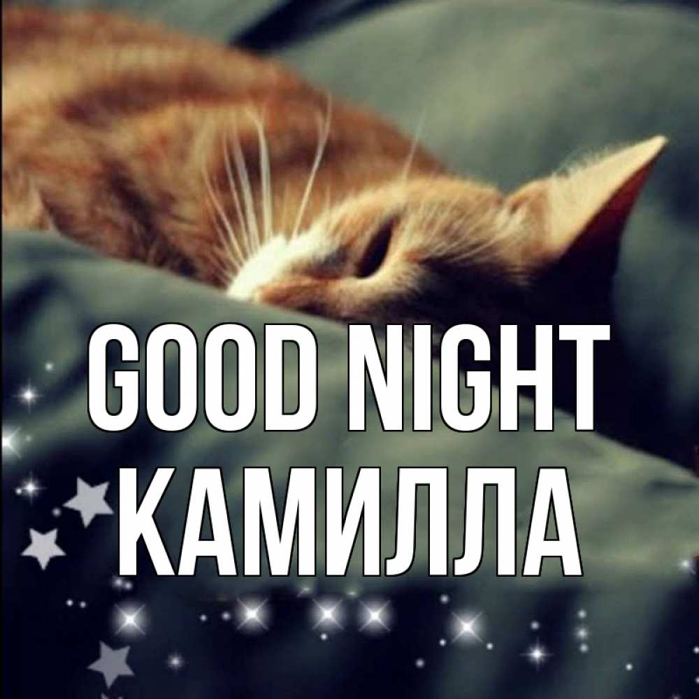 Greetings card с именем, Камилла Good night кроватка Greetings with text for free download 