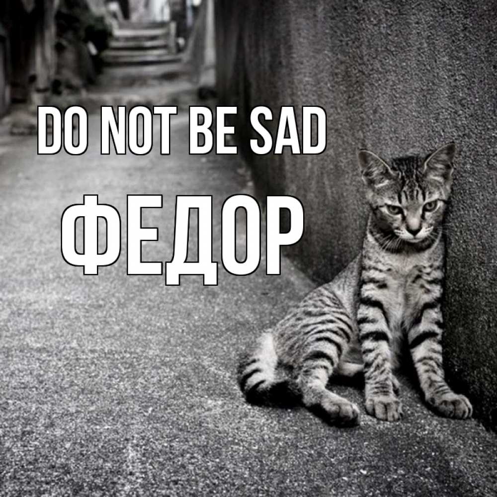Greetings card с именем, Федор Do not be sad скучающий котик Greetings with text for free download 