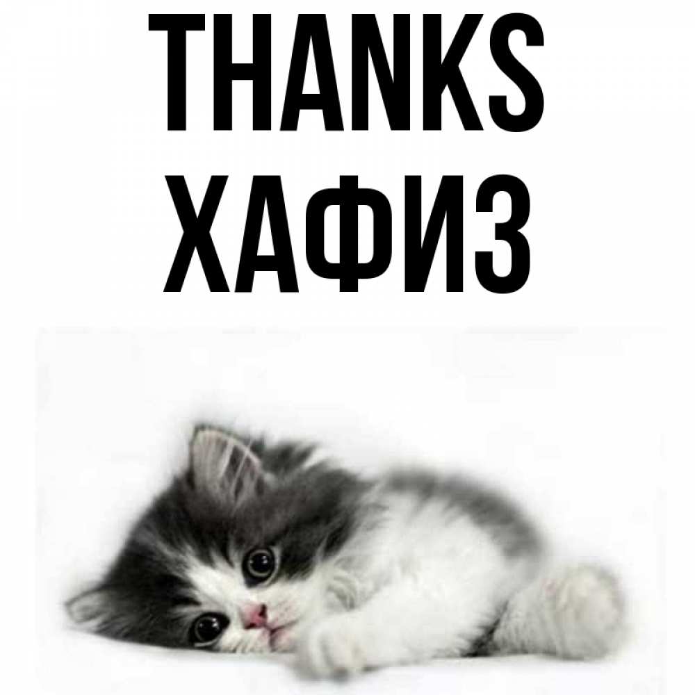 Greetings card с именем, ХАФИЗ Thanks черный и белый кот Greetings with text for free download 