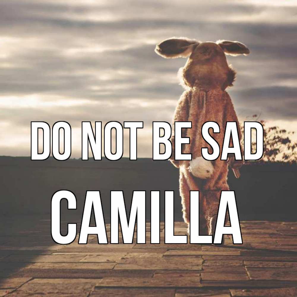 Greetings card с именем, Camilla Do not be sad со спины Greetings with text for free download 